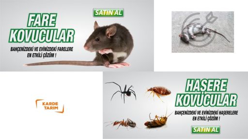 FARE SIÇAN HAŞERE İLAÇLARI